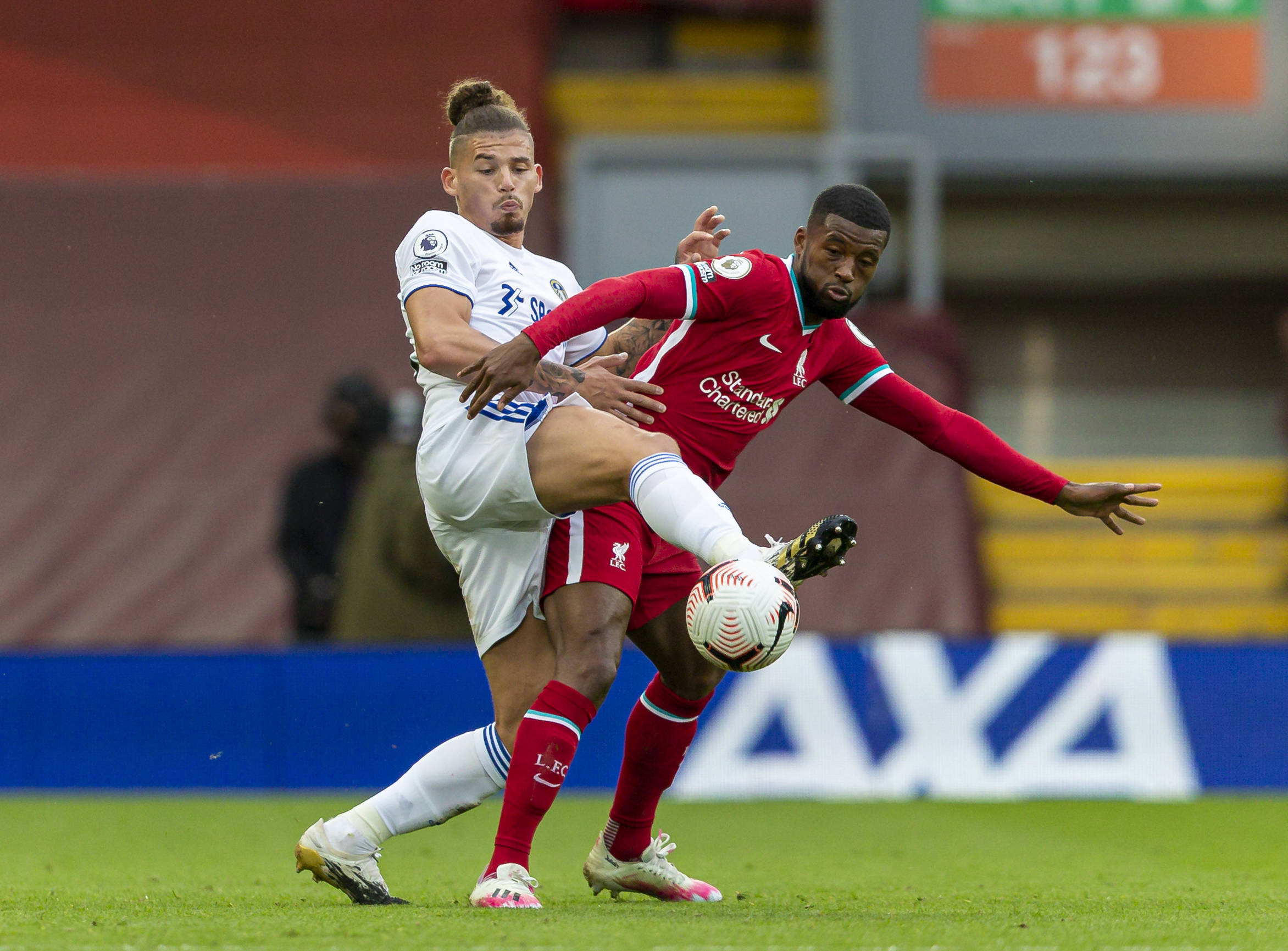 栋的支持 栋的支持