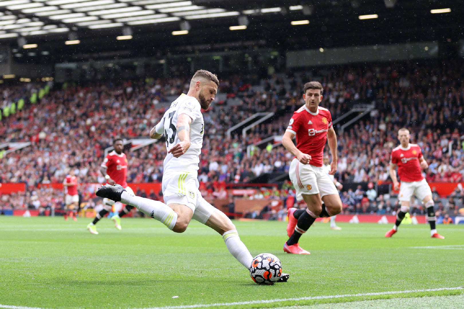 了一条令人 了一条令人